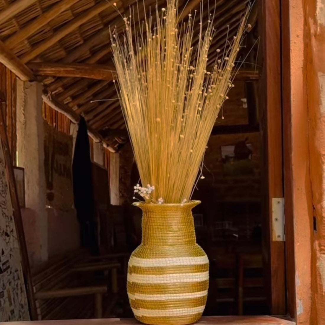 Grass of Freedom: A Golden Legacy of the Cerrado