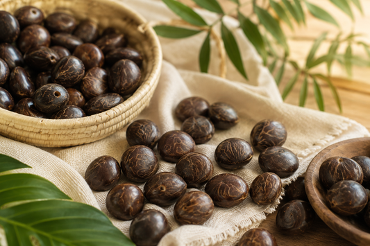 Jarina Tagua seeds