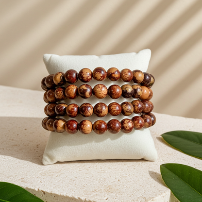 Amazonian Treasures Açaí Terra Cuff bracelet featuring layered rows of natural brown and caramel seeds on a display